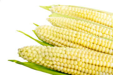 corn on the cob closeup