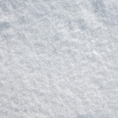 Obraz premium background of fresh snow