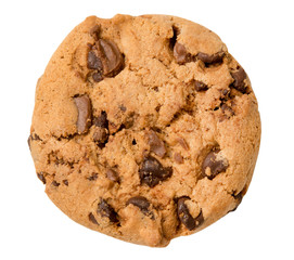chocolate chip cookie - 91651512