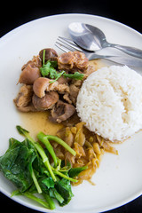 Stewed Pork Leg with Pickled Mustard Greens and rice