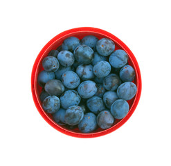 Still life with many ripe blue plums in round red plastic pail isolated on white, top view close up.