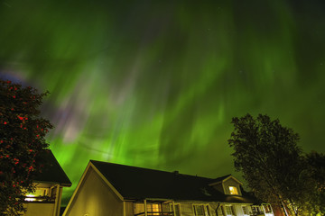 Northern lights blazing over my house