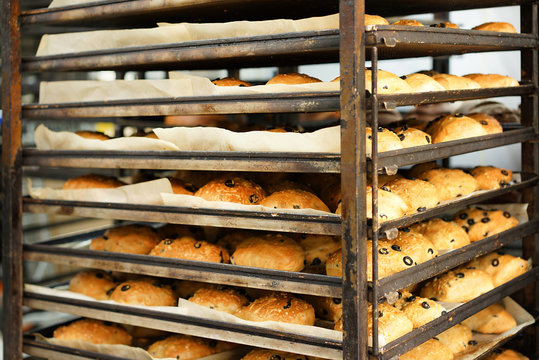 Closeup Rack of fresh buns with olives from oven