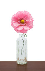 pink plastic flower in bottle on white background