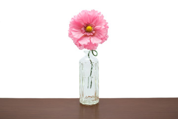 pink plastic flower in bottle on white background