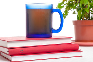Cup of tea or coffee on stack of books. Textbooks and drink. Stu