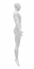 MAle ready to muscle layer from my gallery - Muscles anatomy map