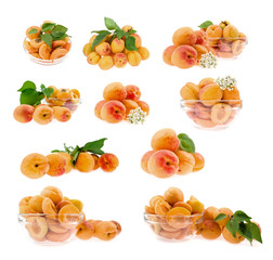 set of apricot isolated
