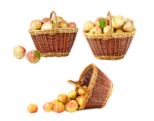 set of apples in a basket isolated