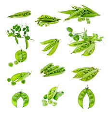 Seth green peas in pods in isolation