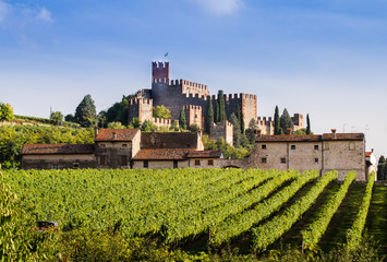 View of Soave (Italy) and its famous medieval castle - 91659544