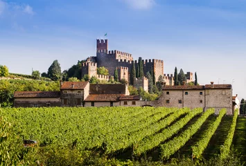 Papier Peint photo autocollant Château View of Soave (Italy) and its famous medieval castle