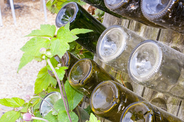empty wine bottles in a wooden rack