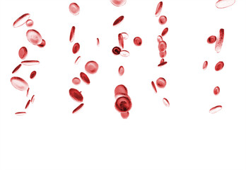 Red Blood Cells