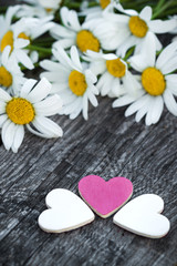 Beautiful fresh daisies decorated with hearts on wooden texture