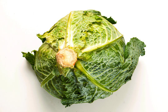 cabbage fresh natural