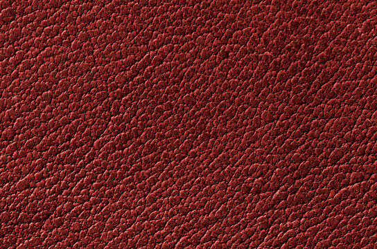 Red Leather Images – Browse 362,184 Stock Photos, Vectors, and Video