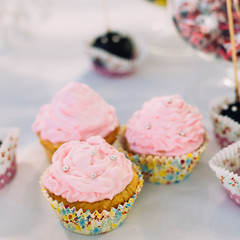 Various Dessert Sweet Cupcakes, Candy, confection On Table. Cand