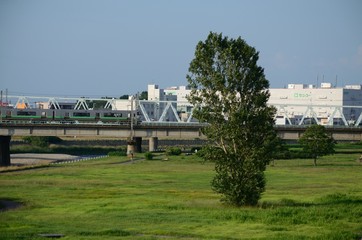 Fototapeta premium 電車と川辺の風景