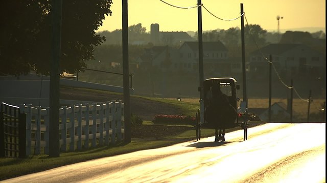 Amish horse and buggy traveling on road 