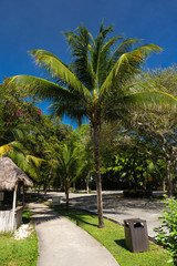 Caribbean street, Playacar, Playa del Carmen