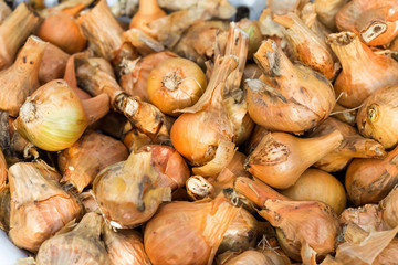 Onions