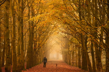 Sunday morning walk in autumn