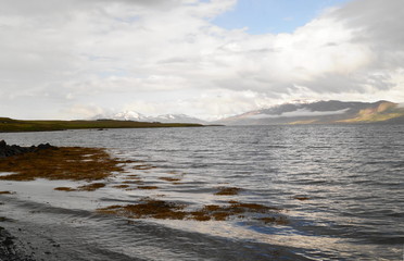 Landscape in Iceland