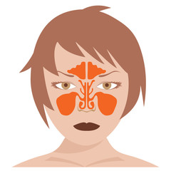 vector image of nasal and frontal sinus.