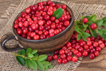 Lingonberries Rustic Still Life