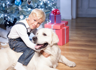 Pretty small child is playing with pet in New Year