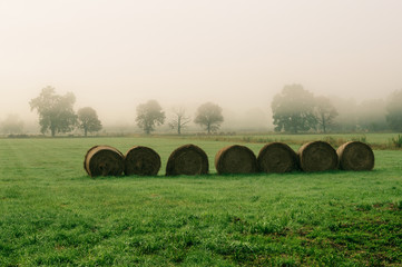 The hay field 2