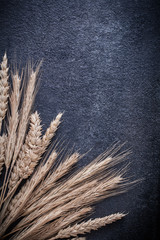 Ripe wheat and rye ears on black background vertical version