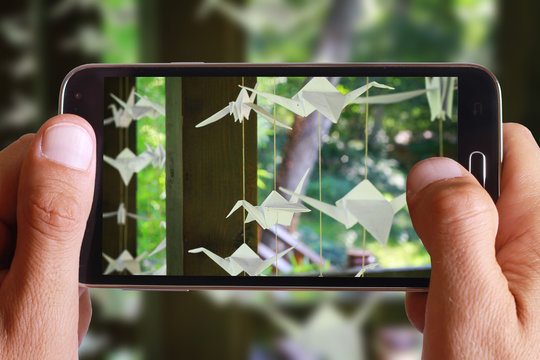Male hand taking photo of  Origami white paper birds decoration in japanese garden  in nature, wedding origami cranes with cell, mobile phone.