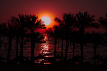 Sunrise - Red Sea