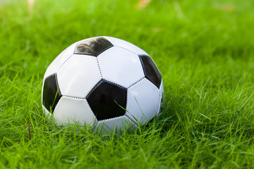 Fototapeta premium Soccer ball on grass
