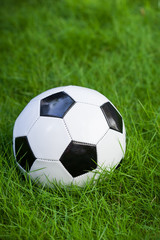 Obraz premium Soccer ball on grass