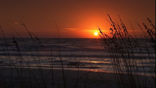 WS of sunrise at the beach through sea oats