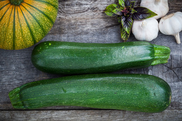 Fresh organic gardening vegetables