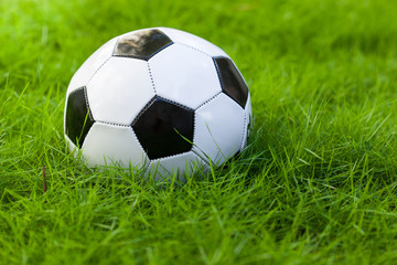 Obraz premium Soccer ball on grass
