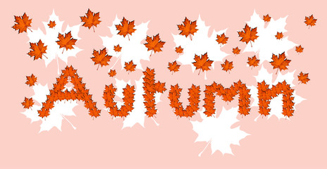 Maple leaves with the word autumn