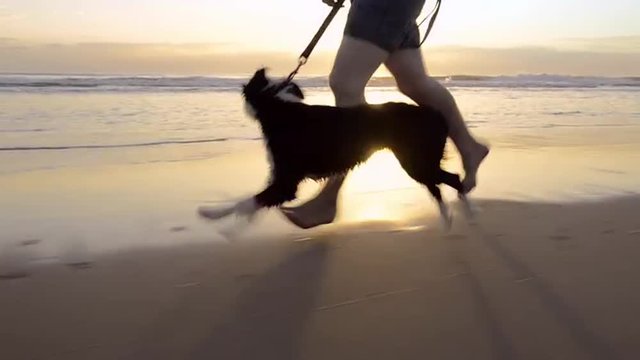 Happy man running dog on beach lifestyle steadicam shot