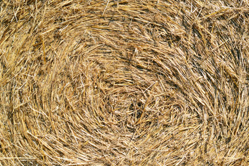 Hay stack texture