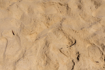 Foot step on sand