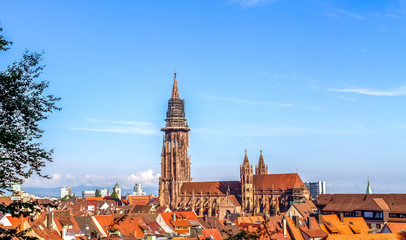 Freiburg im Breisgau, Ausblick auf das Münster 