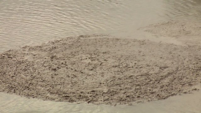 Hot pools of bubbling mud are a feature of New Zealand's Rotorua region.