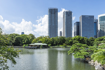 Fototapeta premium 浜離宮恩賜庭園の潮入の池