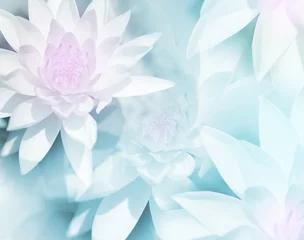 Papier Peint photo autocollant fleur de lotus lotus aux couleurs vives dans un style doux pour le fond