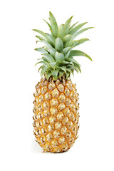 Pineapple  on white background.