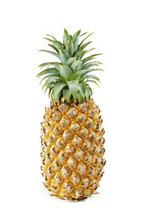 Pineapple  on white background.